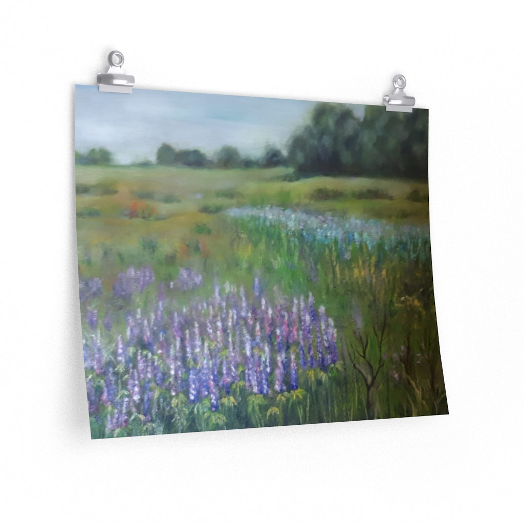 Lavender Field Poster