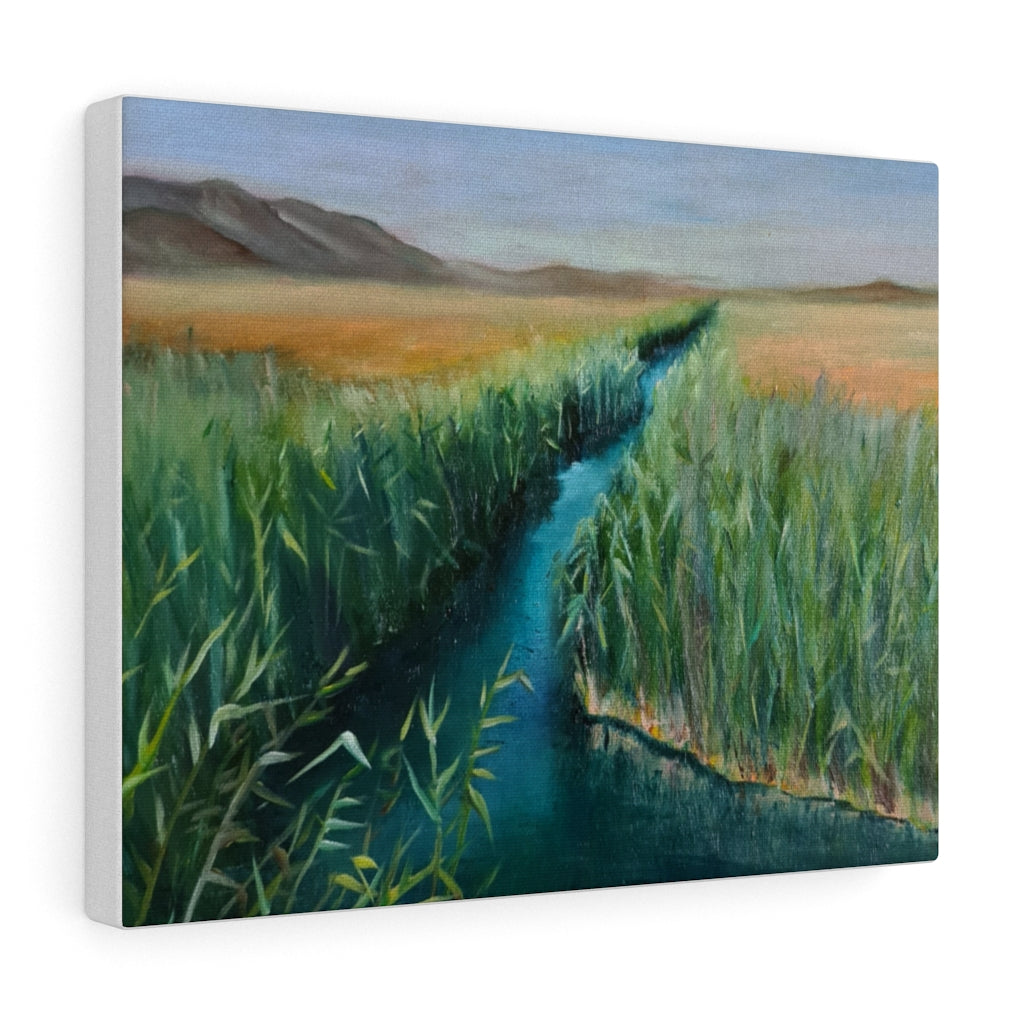 Brook & Valley Canvas Gallery Wraps