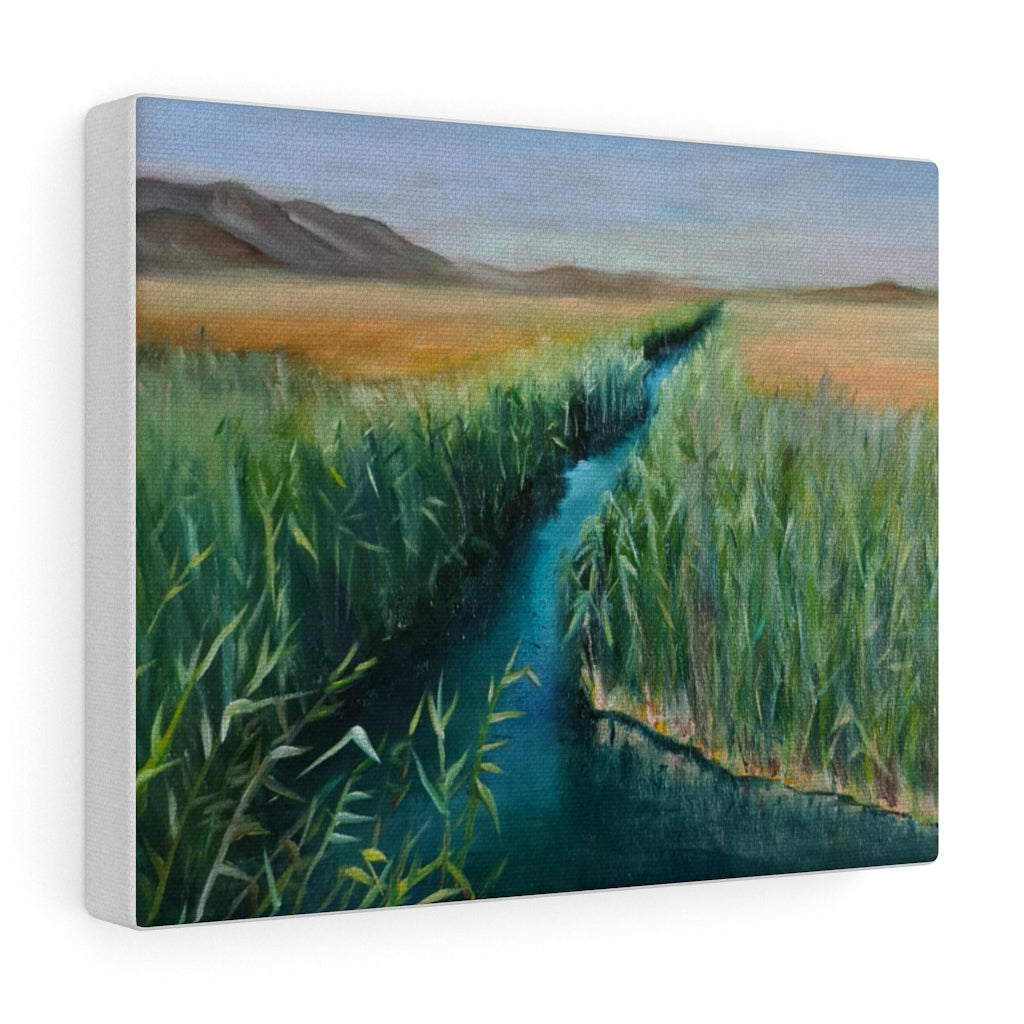 Brook & Valley Canvas Gallery Wraps