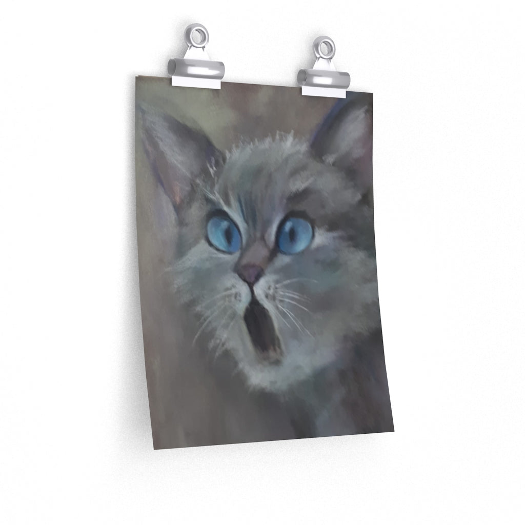 Amazed Cat Meme Poster