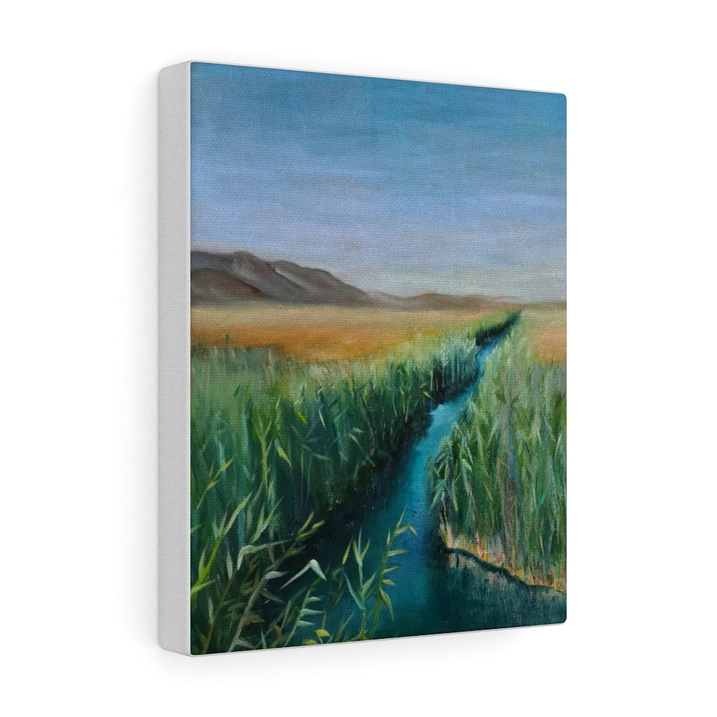 Canvas Gallery Wraps
