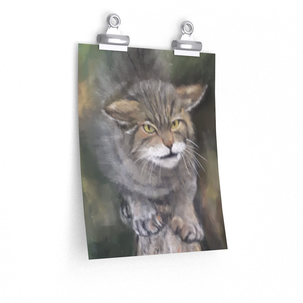 Angry Cat Poster
