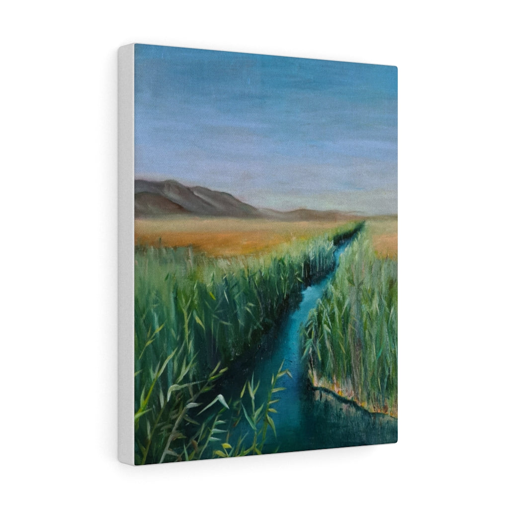 Canvas Gallery Wraps