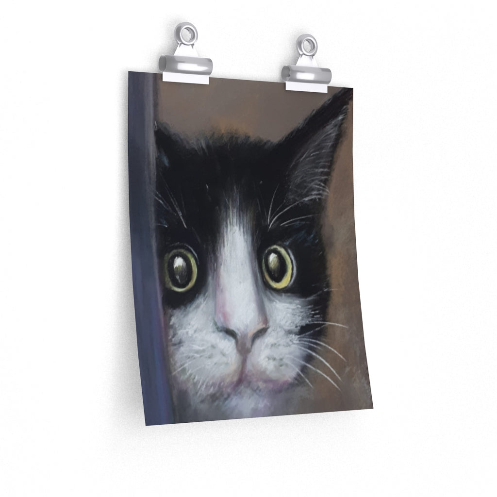 Peeking Cat Poster