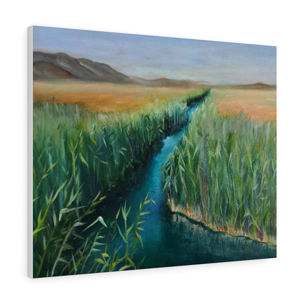 Brook & Valley Canvas Gallery Wraps