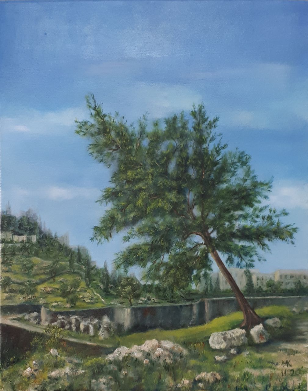 Jerusalemite Pine