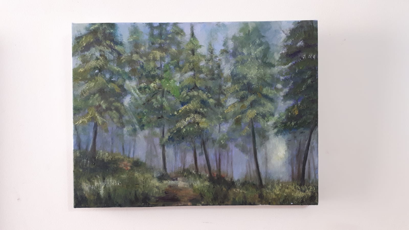 Foggy Jerusalem Forest