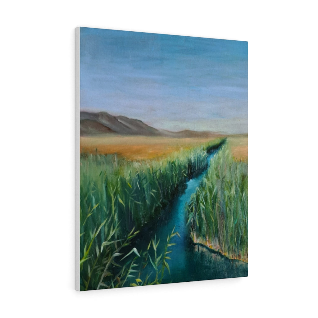 Canvas Gallery Wraps