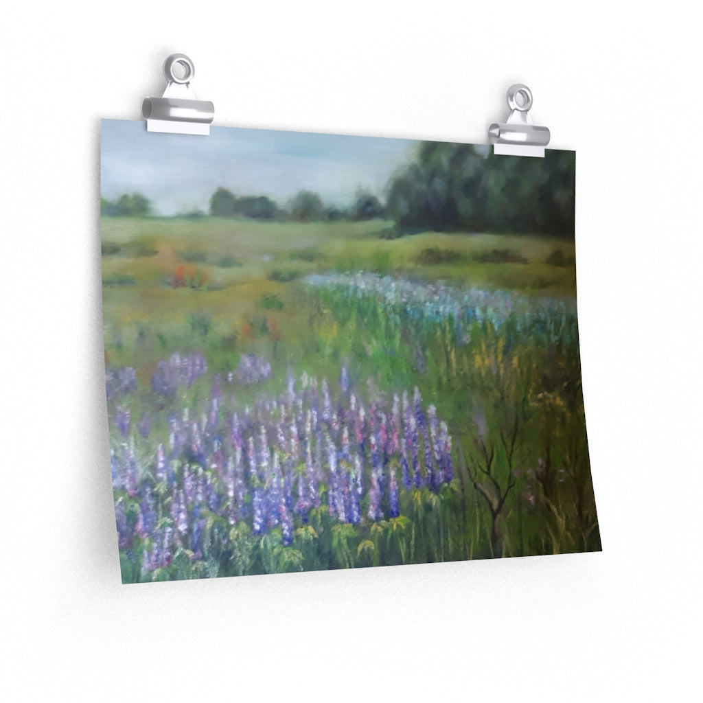 Lavender Field Poster