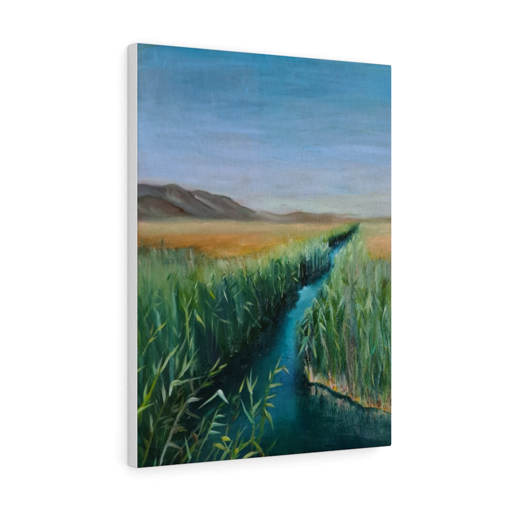 Canvas Gallery Wraps