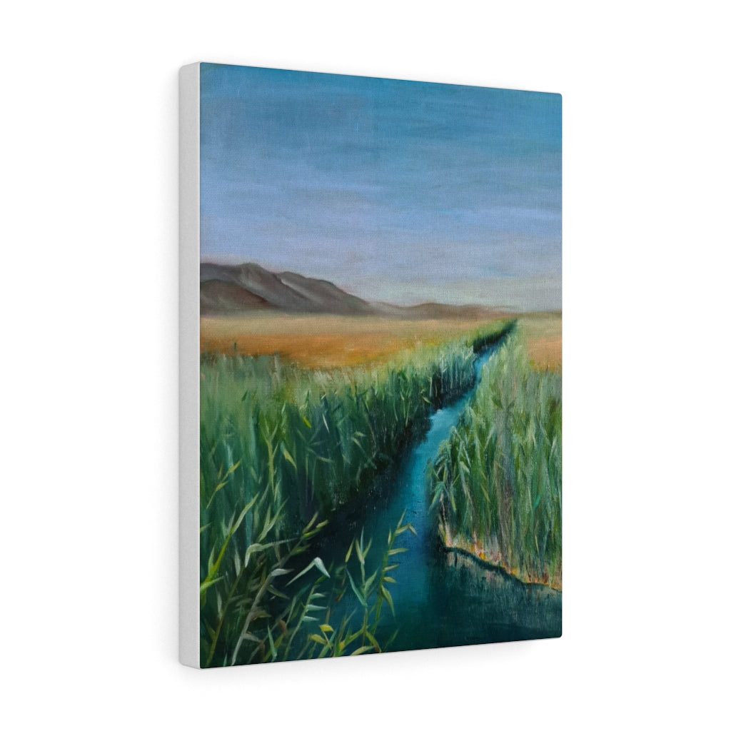 Canvas Gallery Wraps