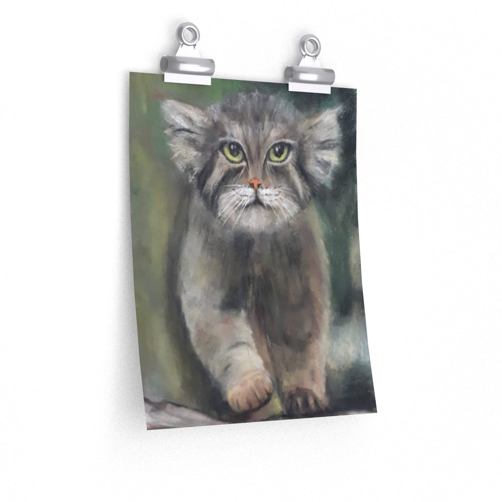 Cat Poster