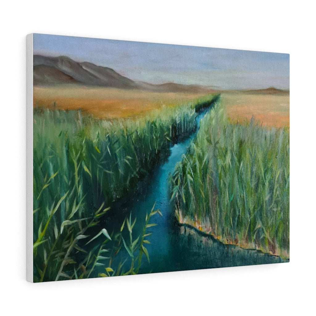 Brook & Valley Canvas Gallery Wraps