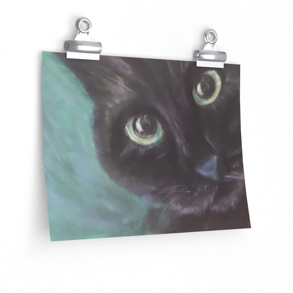 Peeking Cat Poster