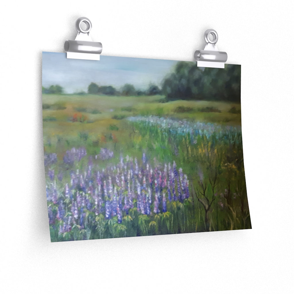 Lavender Field Poster