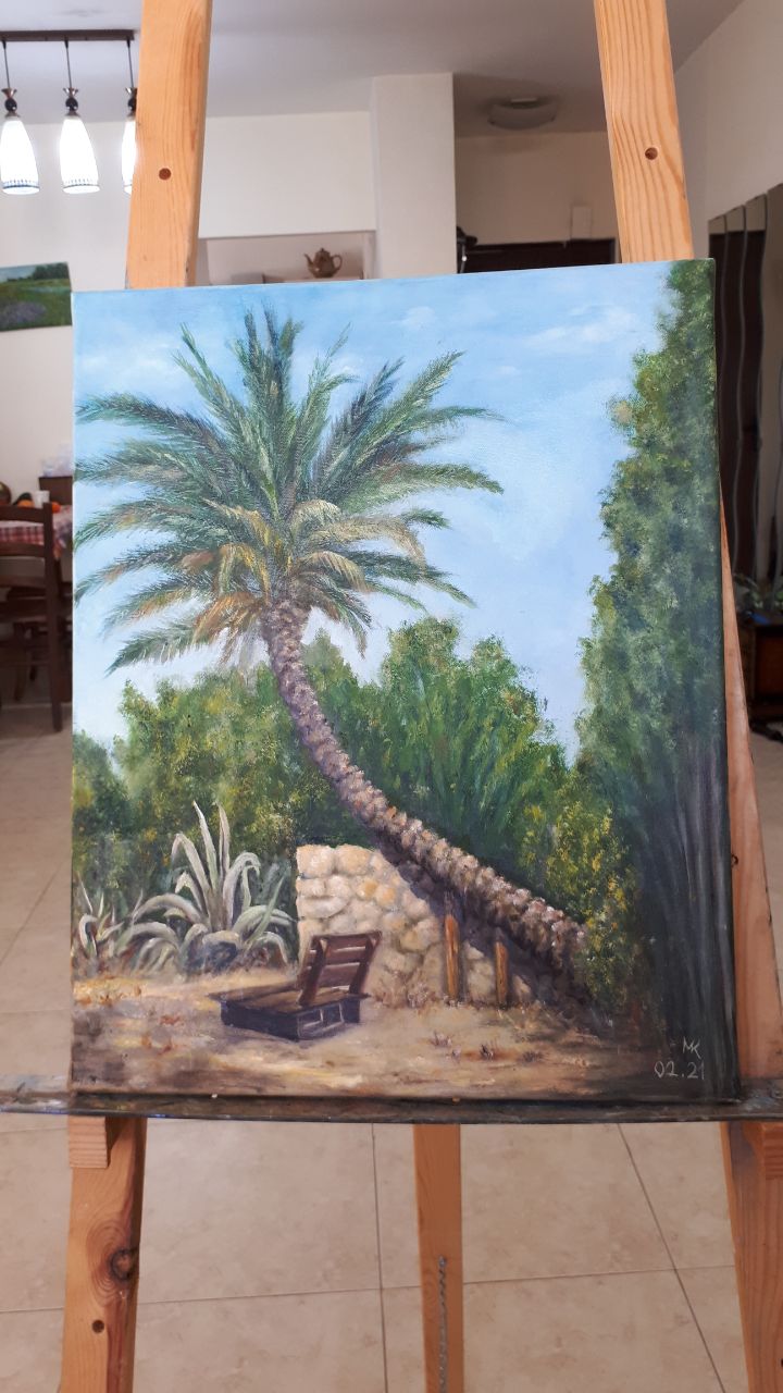 Leaning Palm Tree