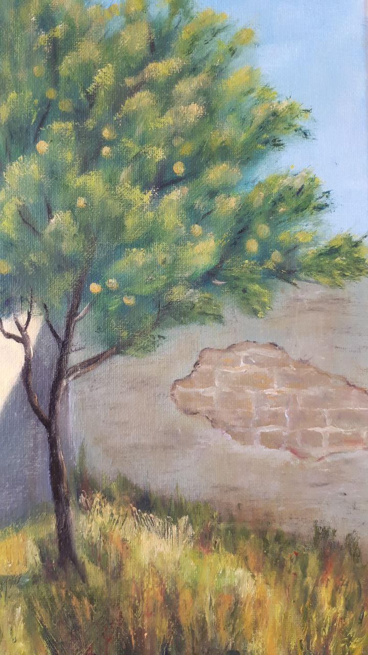 Orange Tree Yard