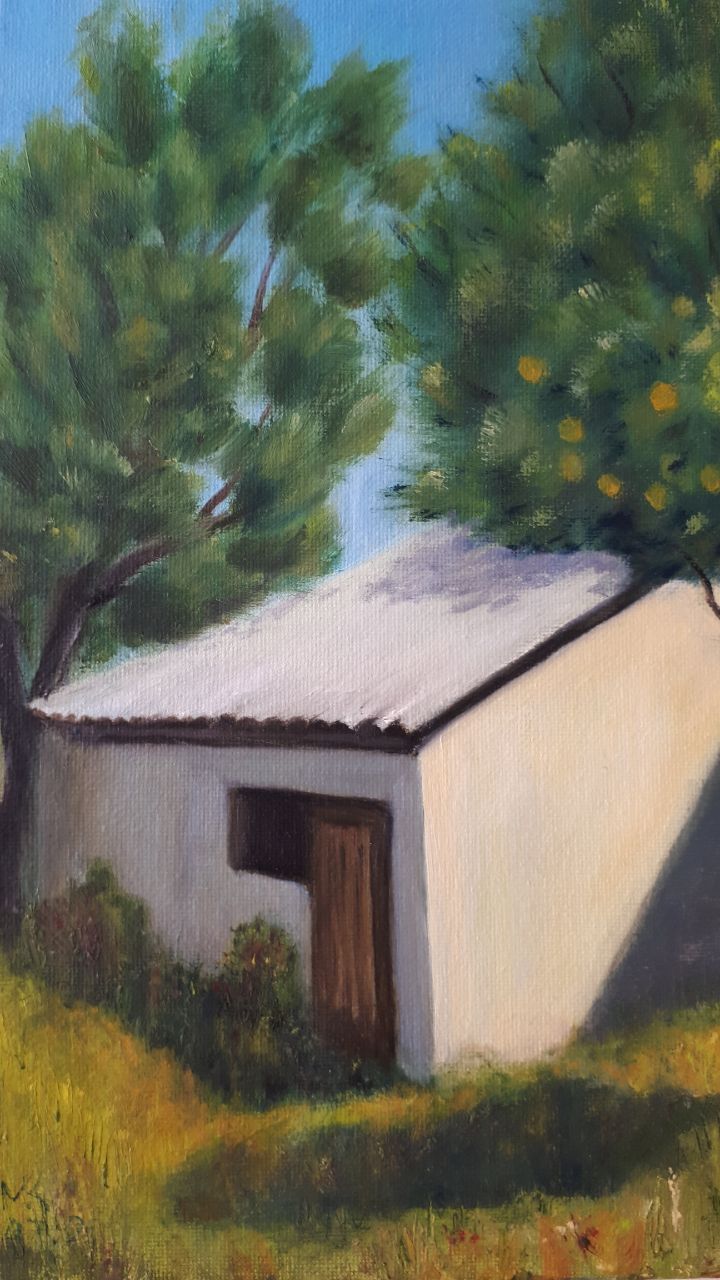 Orange Tree Yard