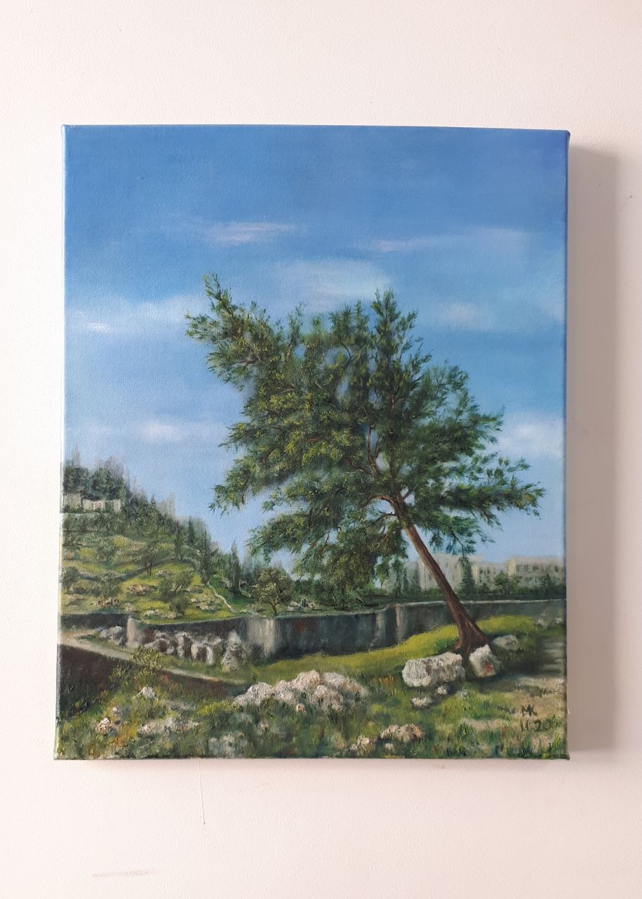 Jerusalemite Pine