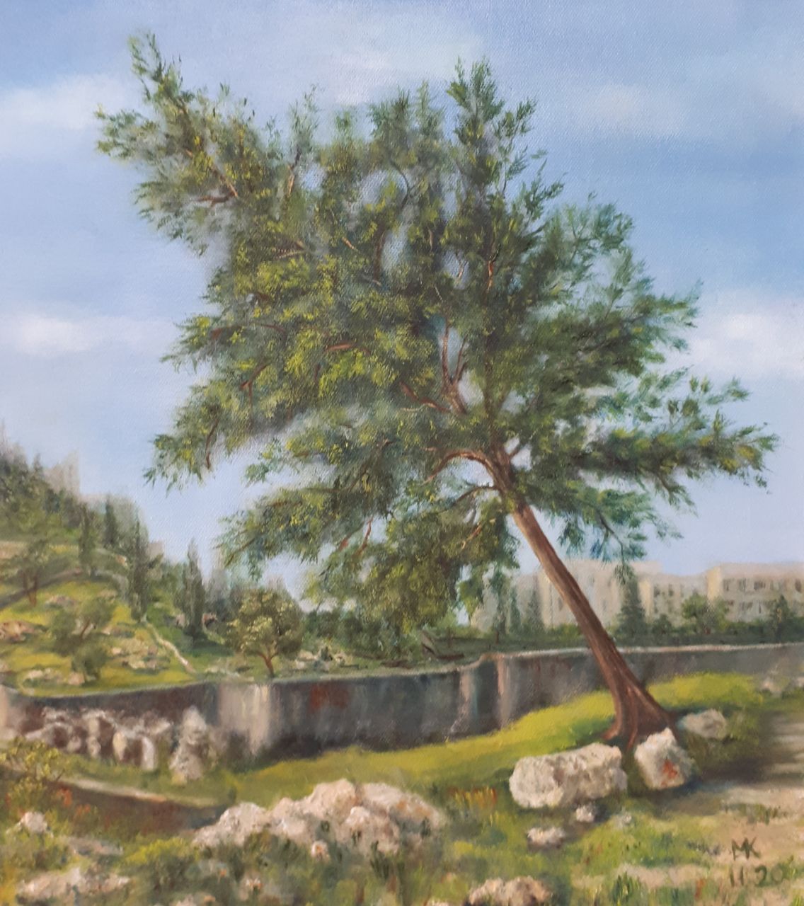 Jerusalemite Pine