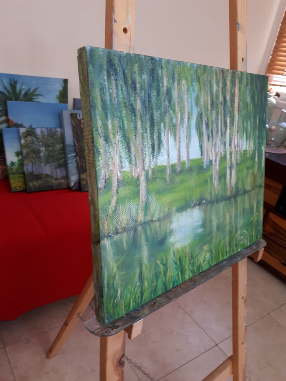 Eucalyptus Grove