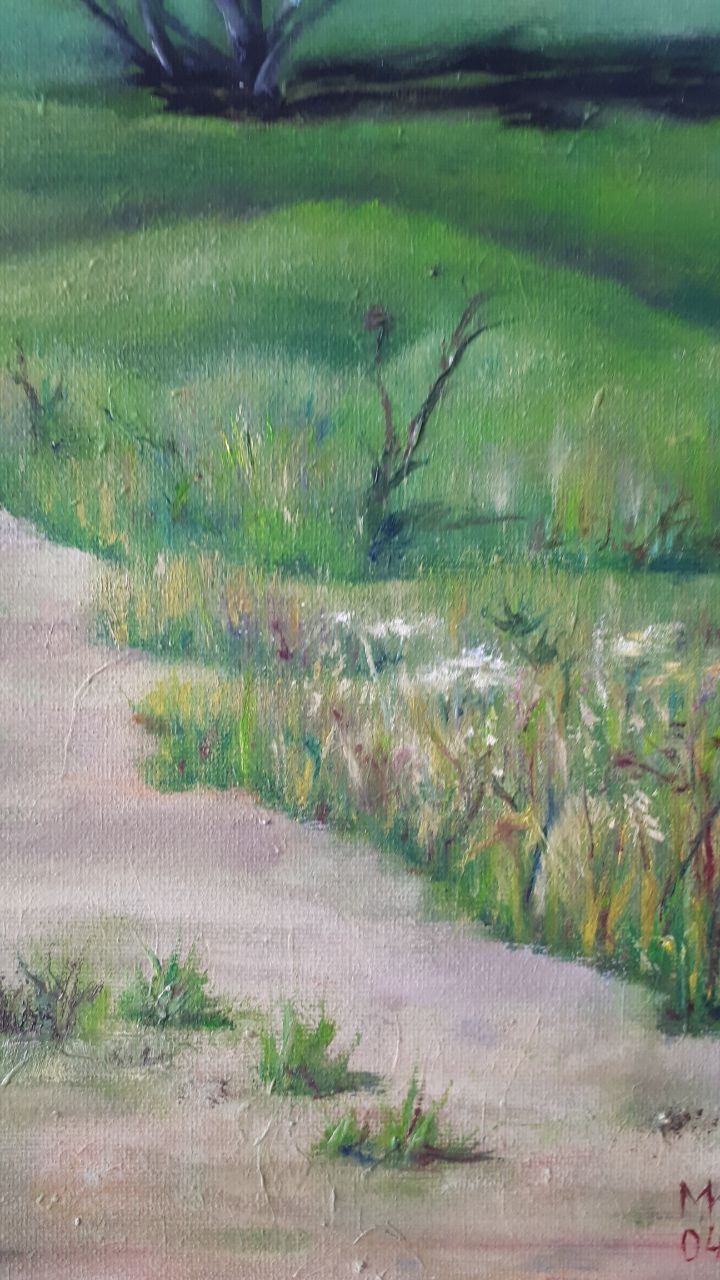 Lone Trail